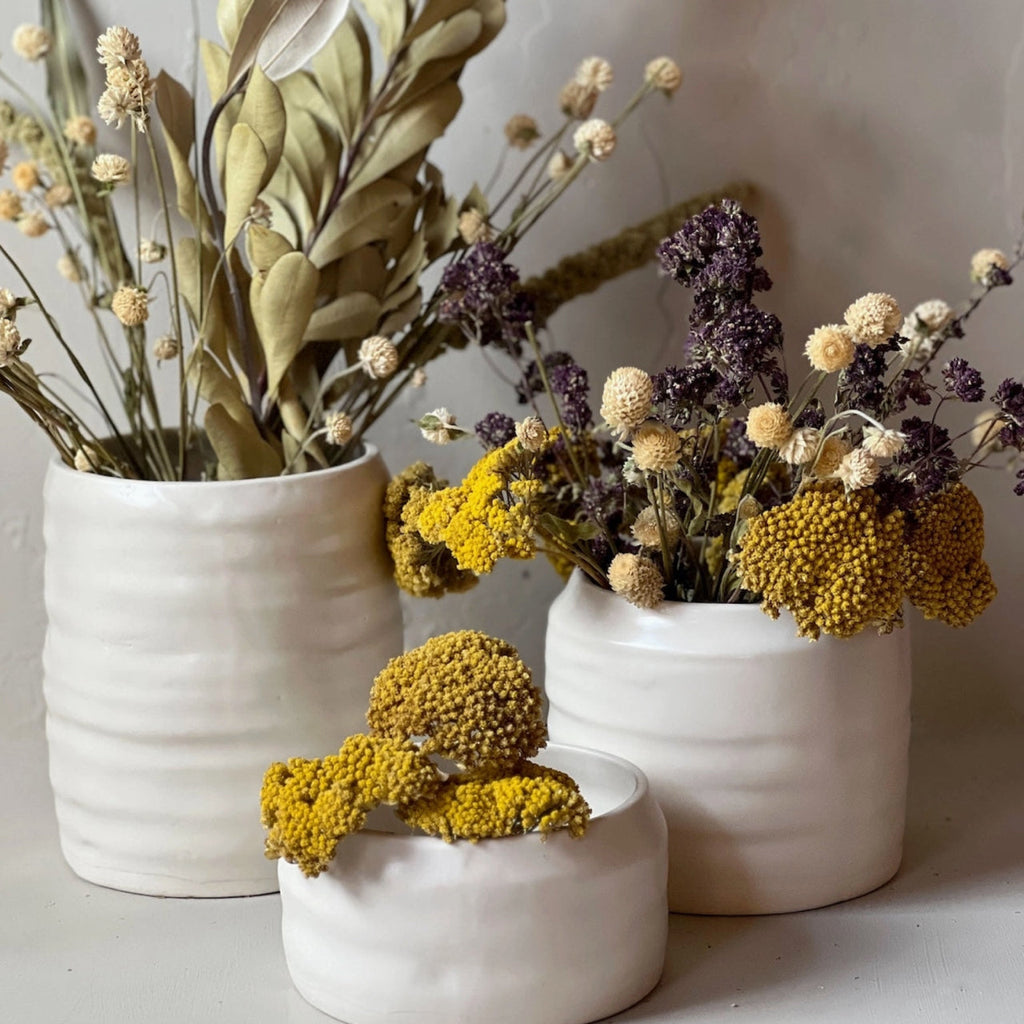Dried Natural Yarrow - Second Chance Sale