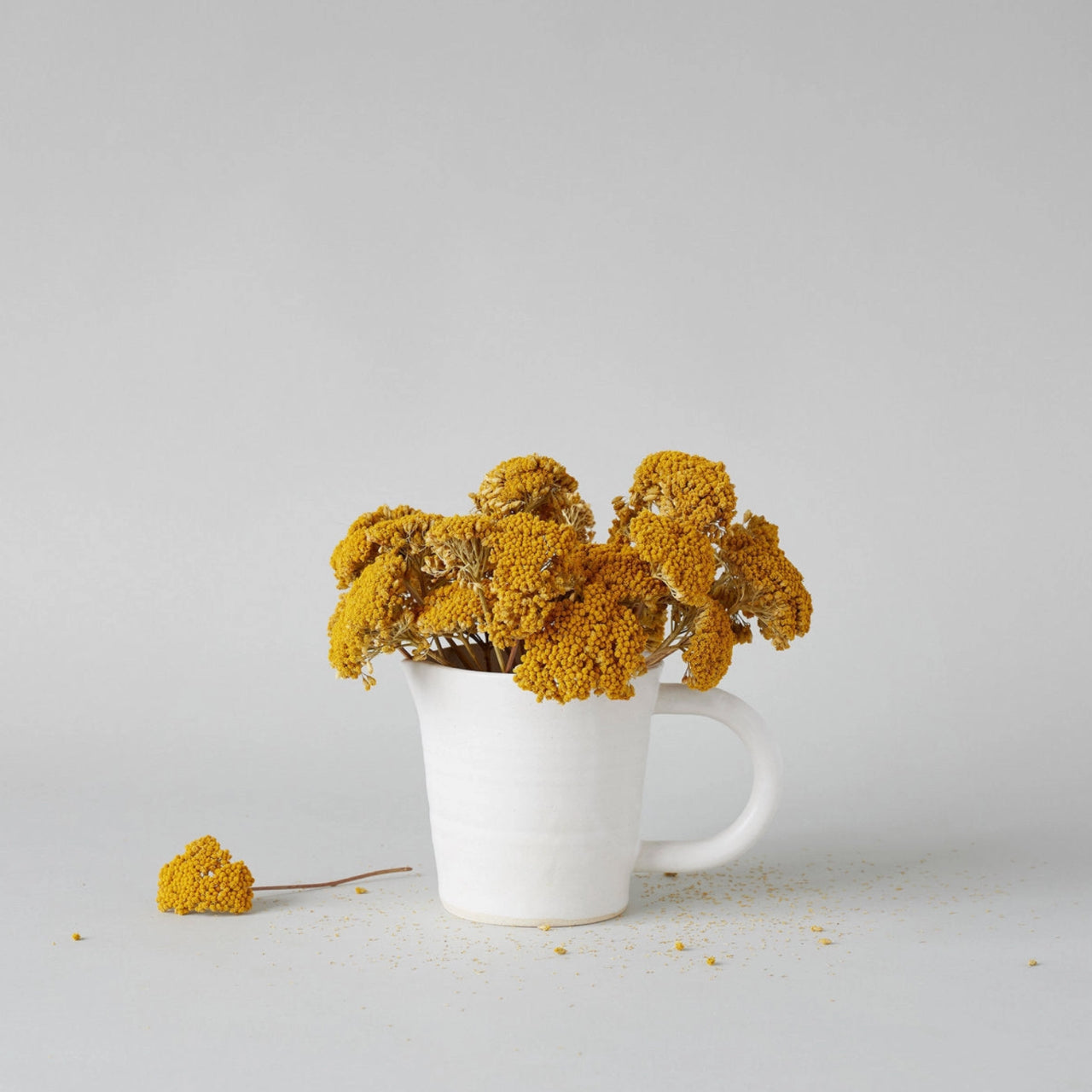 Dried Natural Yarrow - Second Chance Sale