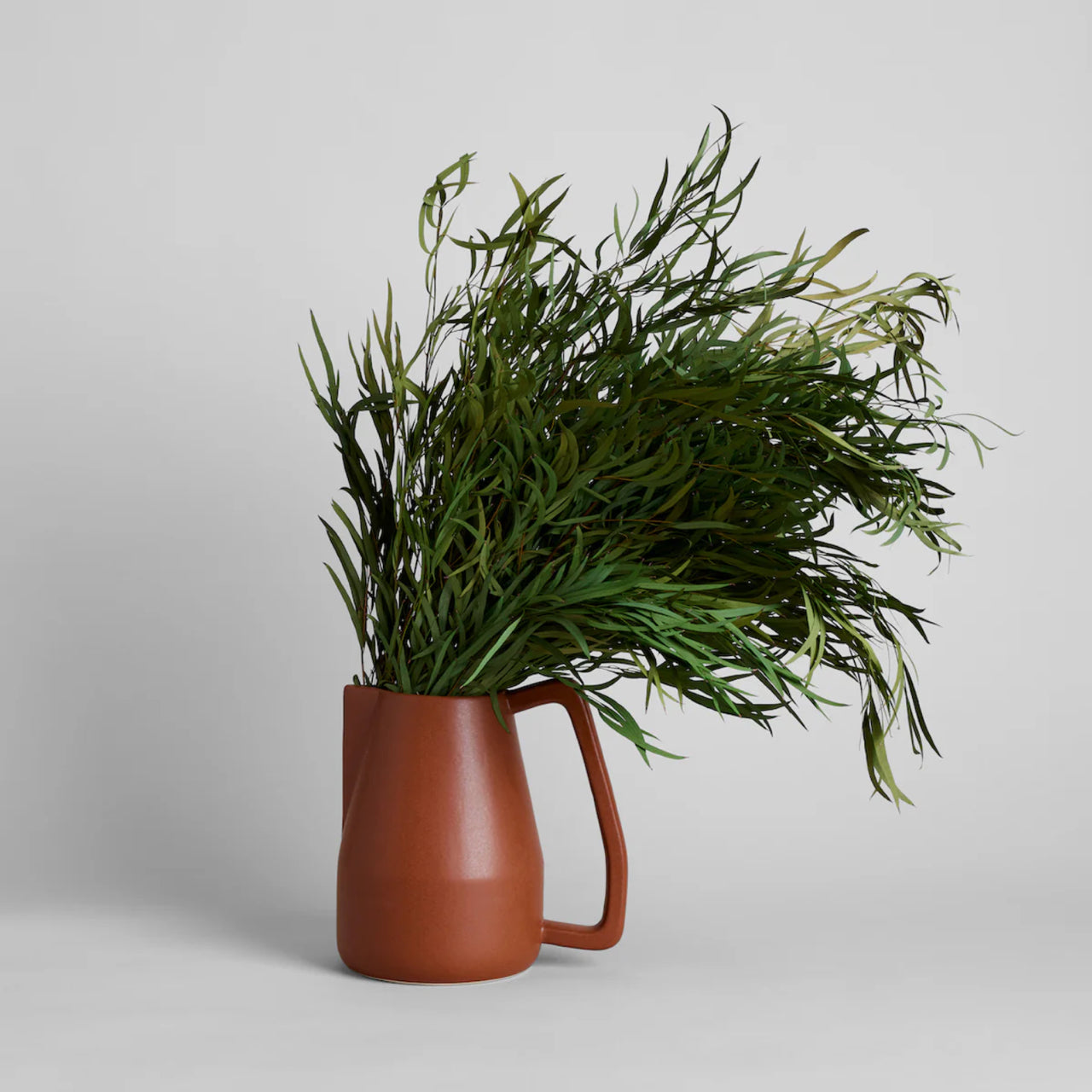 Small Brown Novah Pitcher