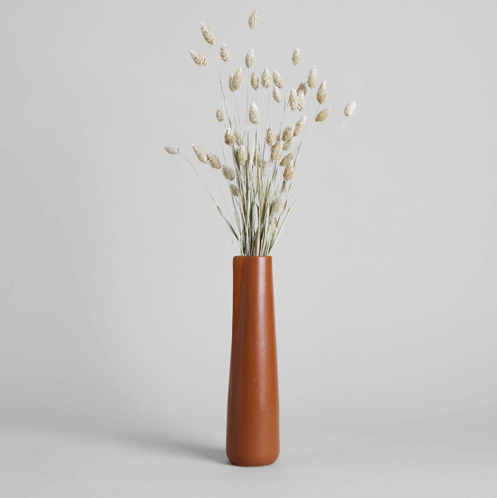 Tall Brown Novah Pitcher
