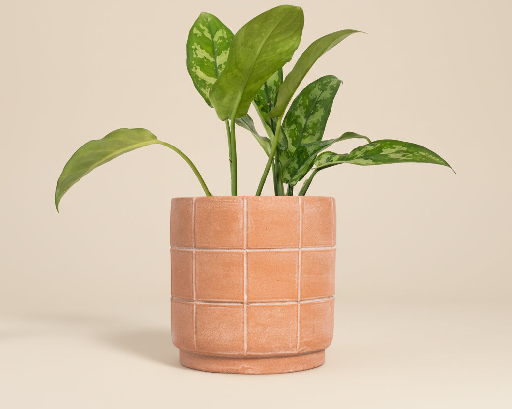 Large Grid Terracotta Planter