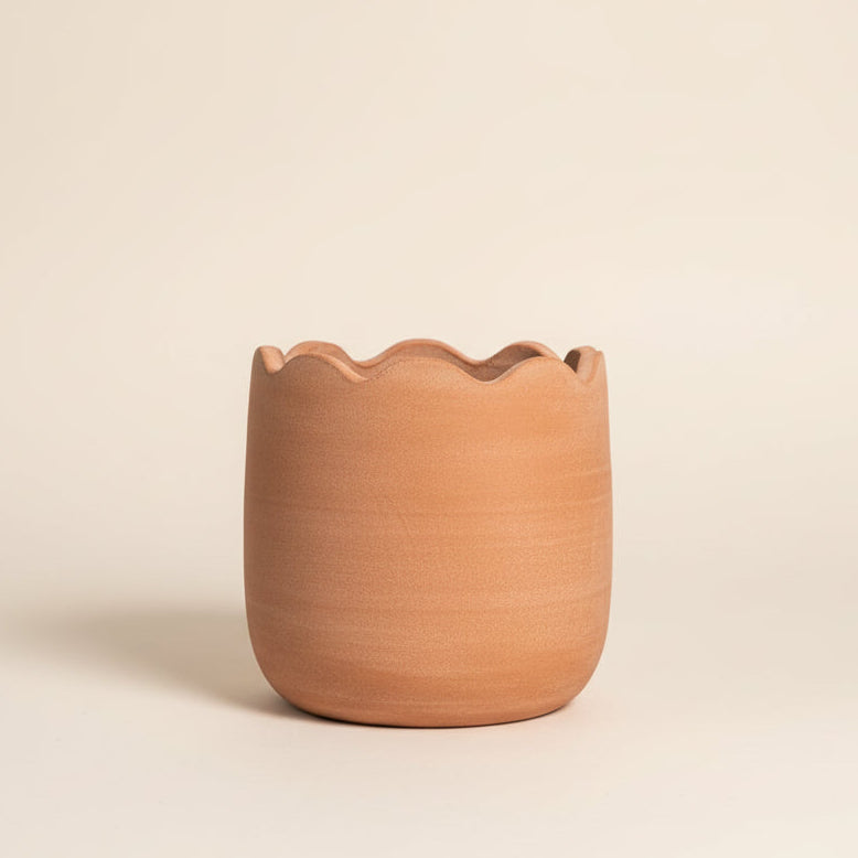 Wavy Planter - Medium