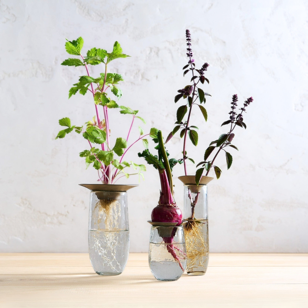 Floral Propagation Vases - Set of 3