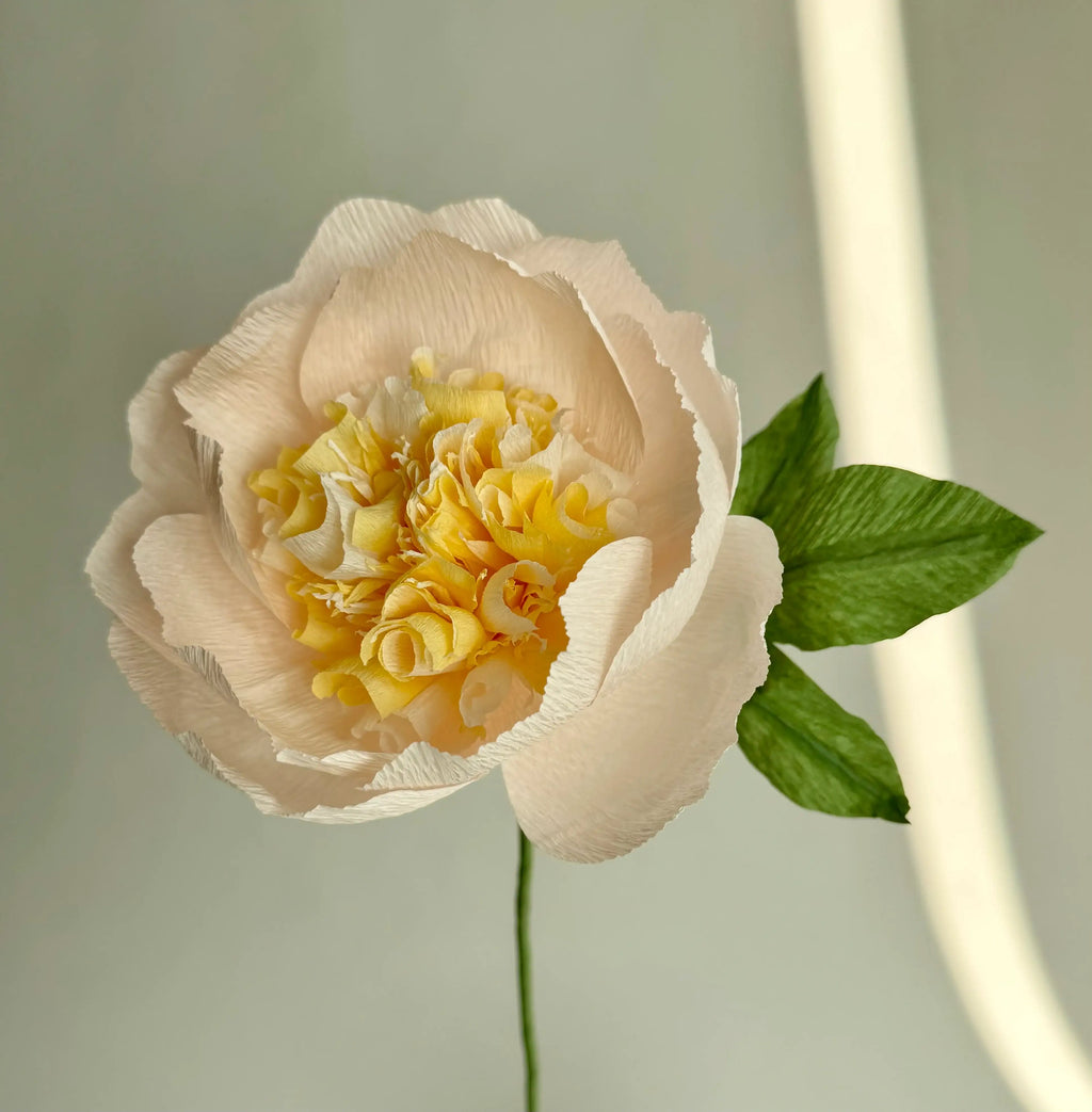Fluffy Peony