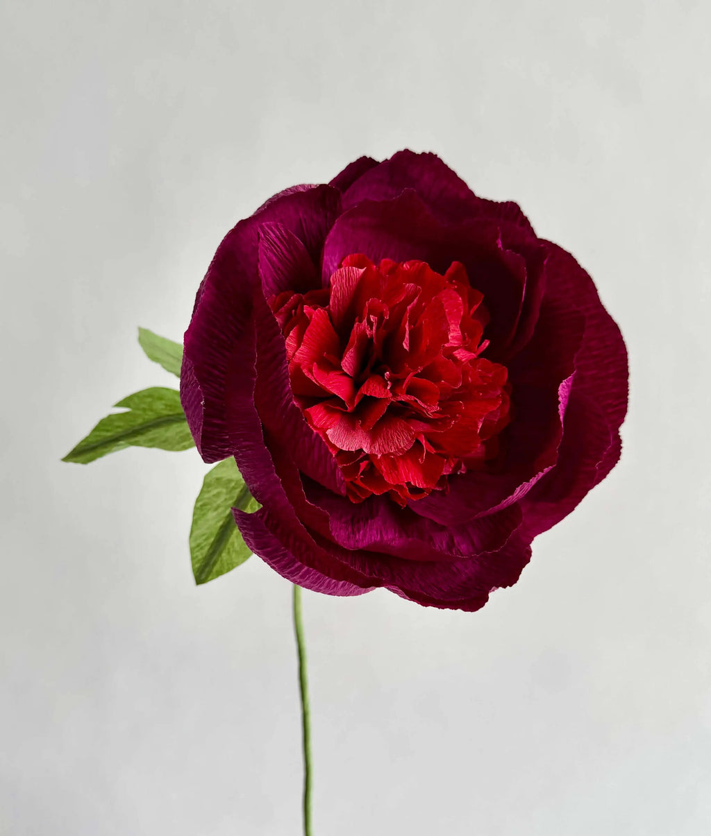 Fluffy Peony