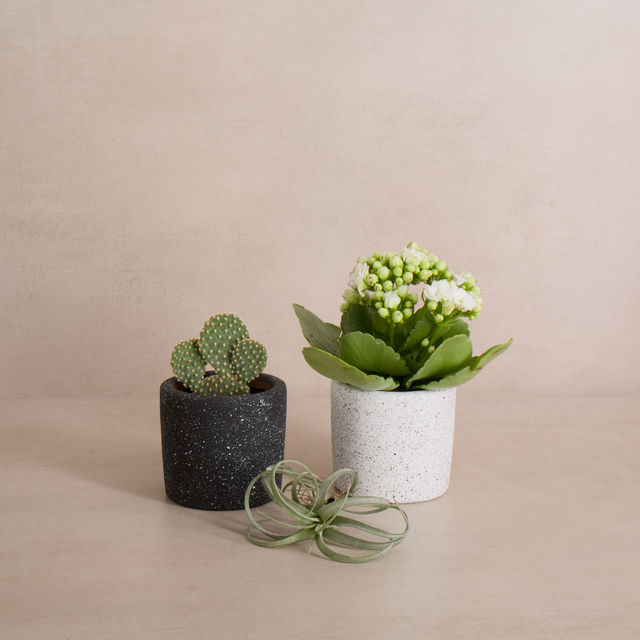 Black Speckle Terracotta Planter