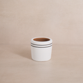 White Stripe Terracotta Planter
