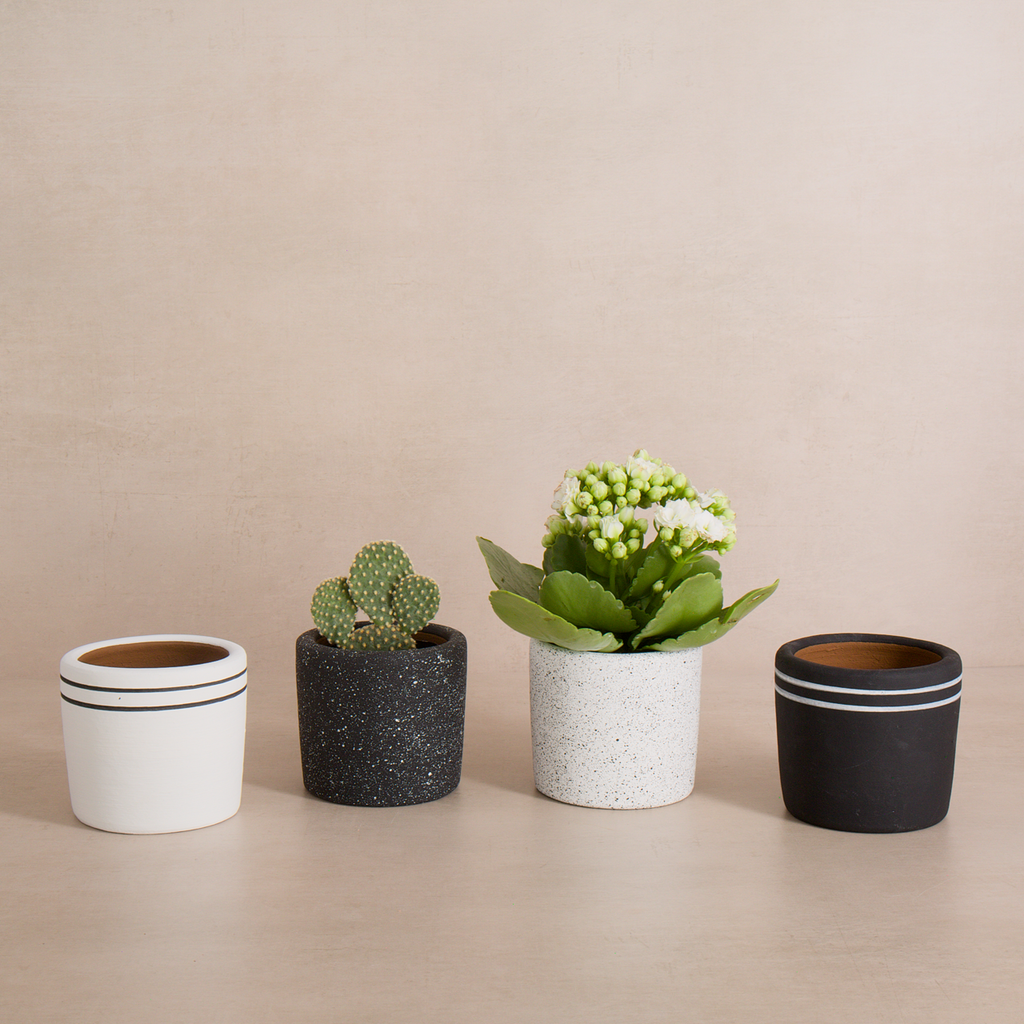 Black Speckle Terracotta Planter