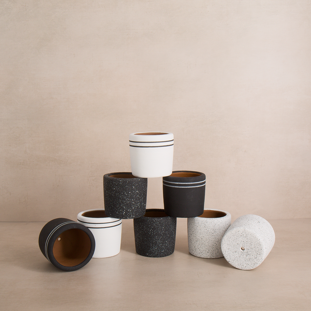 White Stripe Terracotta Planter
