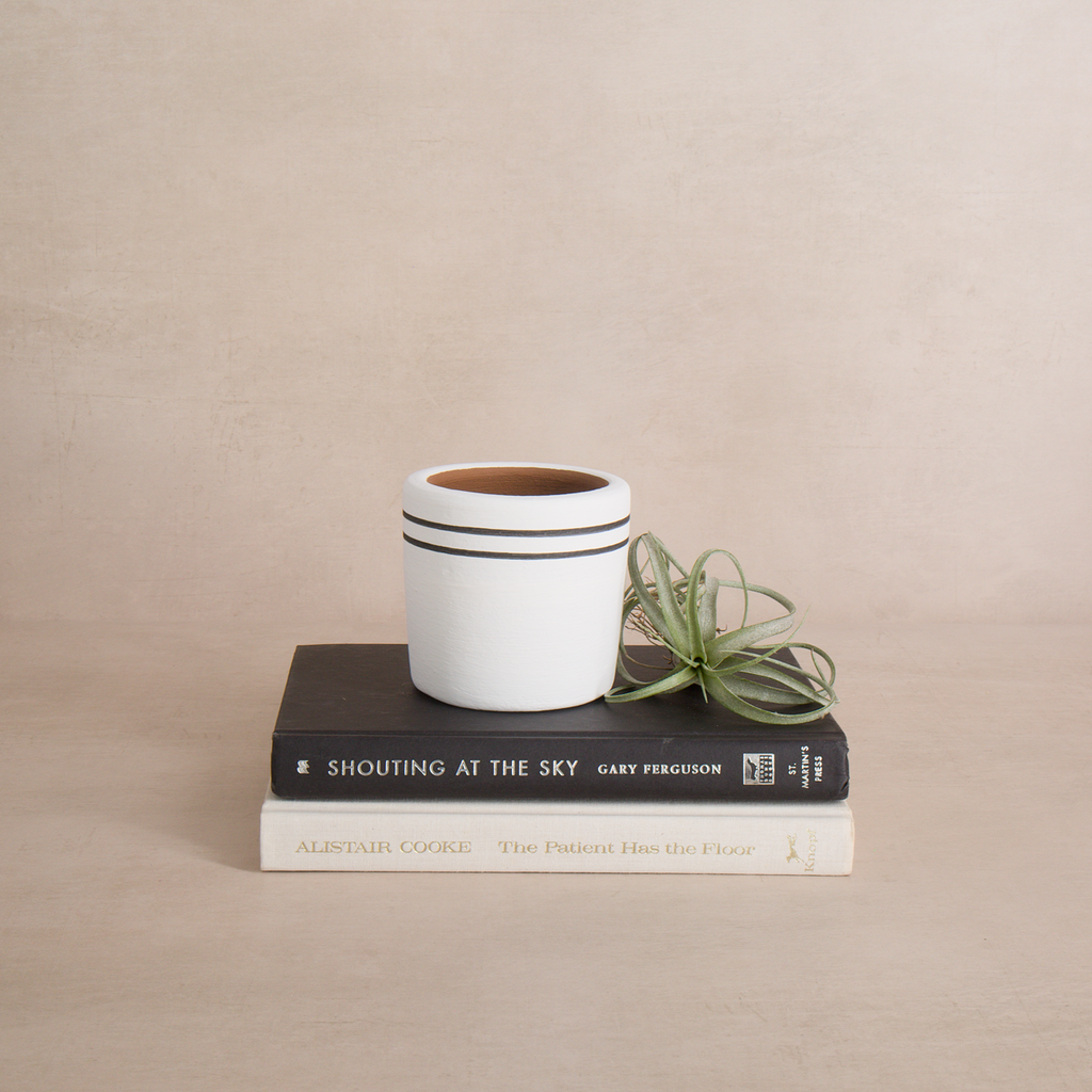 White Stripe Terracotta Planter