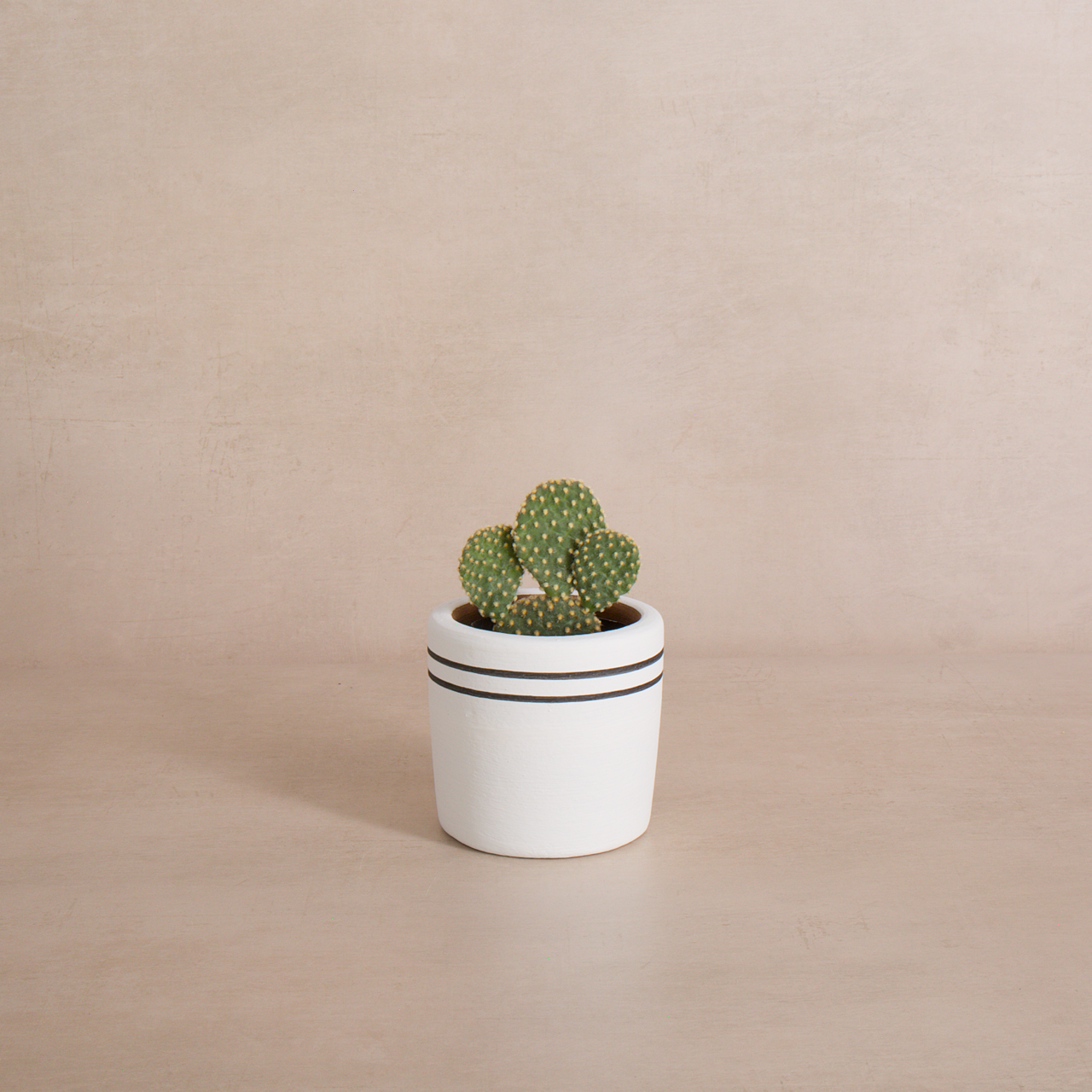 White Stripe Terracotta Planter
